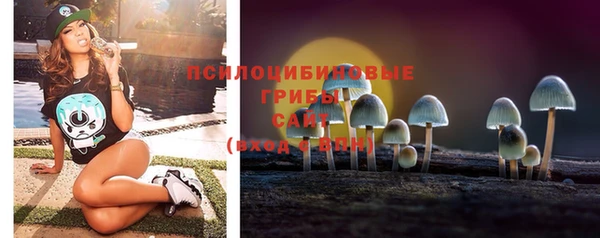 стафф Алзамай
