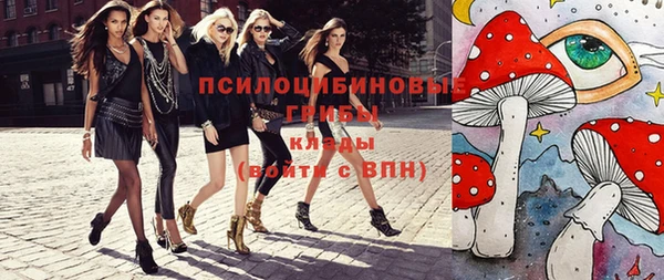 стафф Алзамай