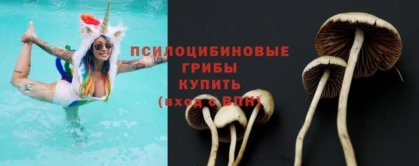 стафф Алзамай