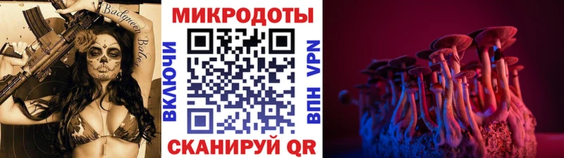 Галлюциногенные грибы Psilocybe  Александровское 